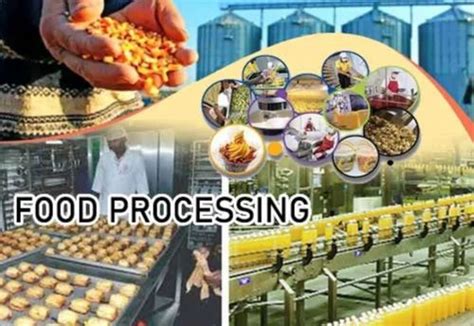 Food Processing Consultant - Food Processing Consultancy Services ...