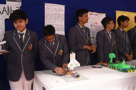 D. M. Public School