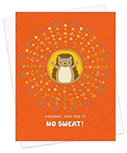 Night Owl Paper Goods Hooray Hedgehog Gold Foil Embellished ...