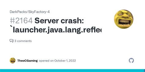 Image result for Server Launcher.java.lang.reflect.invocationtargetexception