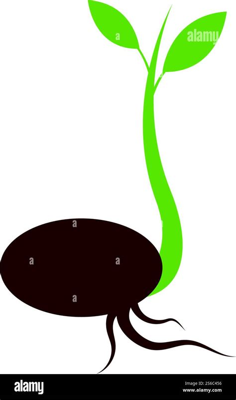 Life Process 的图像结果