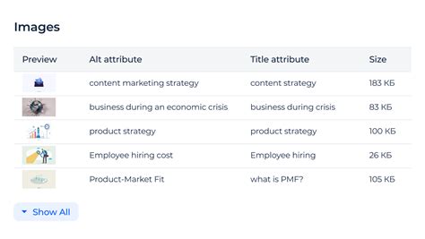 FREE SEO Checker ☑ Audit Tool [Test 300+ issues]