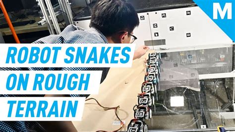 Stair-Climbing Robot Snake Is Almost As Agile As The IRL Version - Tech
