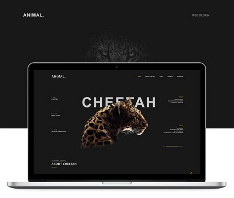 ANIMAL动物科普网站|网页|运营设计|莫克夏丶 - 原创作品 - 站酷 (ZCOOL)