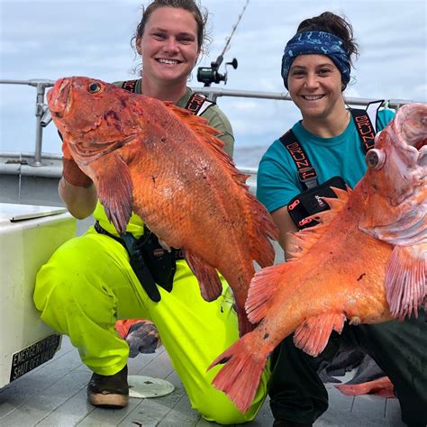 NINILCHIK CHARTERS - DAY TOURS (2026) All You Need to Know BEFORE You ...