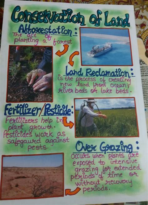 Conservation of land -school project | School art activities, Conservation activities, Plant ...
