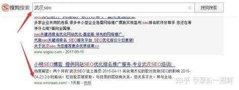 揭密搜狗SEO快速排名软件，霸屏的方法 - 知乎