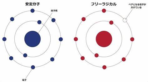 活性酸素とフリーラジカルとは？ | エネルギー療法サロン 志壽庵shijuan