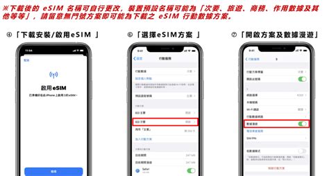 Esim Tutorial 的图像结果
