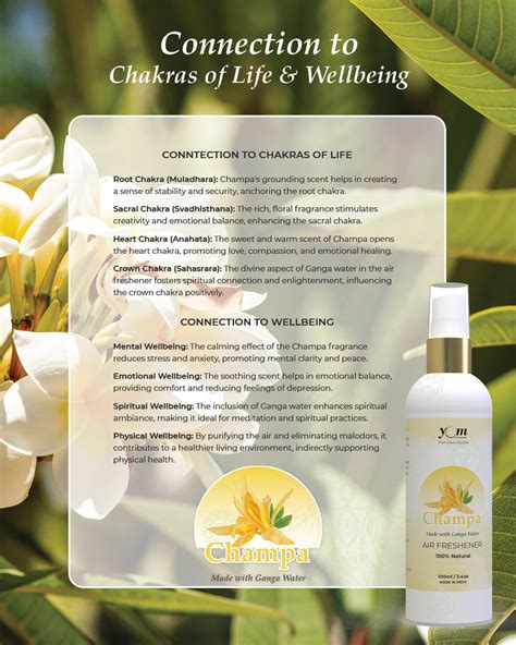 Yom Champa Air Freshener - 100ml – Yom International