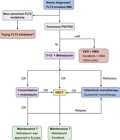 Frontiers | Developments and challenges of FLT3 inhibitors in acute ...