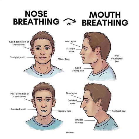 NOSE BREATHING VS. MOUTH BREATHING | Yoga teacher resources, Nose ...
