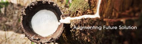 Flexilis Rubber importer in India, Natural Rubber Buyers