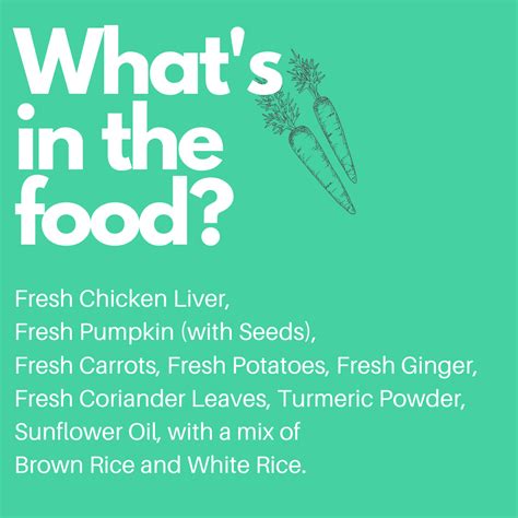 Doggos Jumbo Monster ( 30 packets of 200g of fresh dog food) – Wagr Petcare