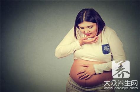 【孕八周胎儿图】【图】孕八周胎儿图片观察 5个要点需引起重视_伊秀亲子|yxlady.com