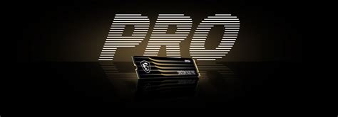 SPATIUM M480 PRO PCIe 4.0 NVMe M.2