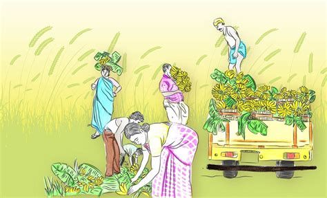 Need to shift from quantity to quality of farmer producer companies ...