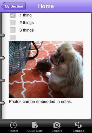 Image result for OneNote Mobile View
