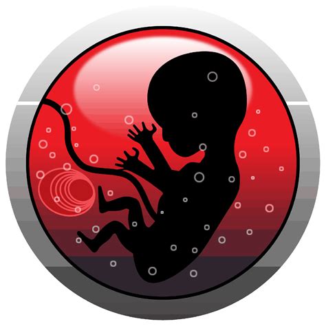 Chorionic villus sampling: कोरिओनिक विलस सैंपलिंग क्या है?- हैलो स्वास्थ्य