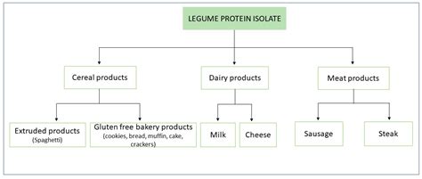 Dough Rheological Properties and Macronutrient Bioavailability of ...