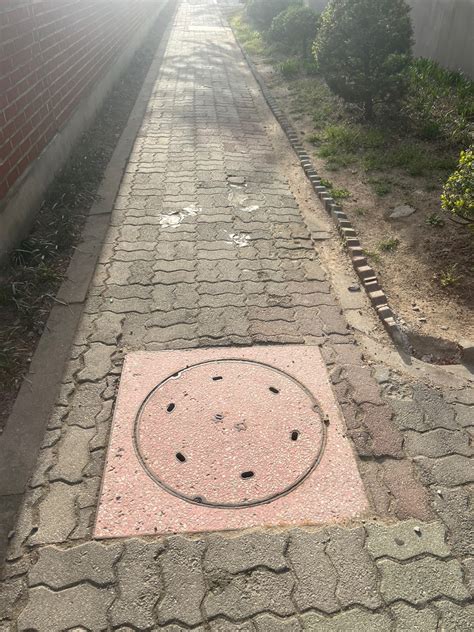 Object Detection Using Yolo 的图像结果