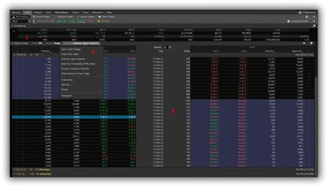 Thinkorswim Options Tutorial 的图像结果