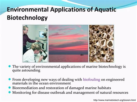 Aquatic Biotechnology 的图像结果