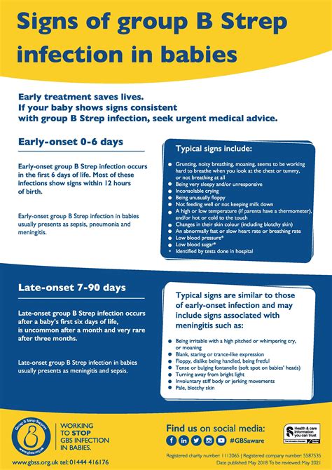 Strep Infection During Pregnancy at Elsie Tucker blog