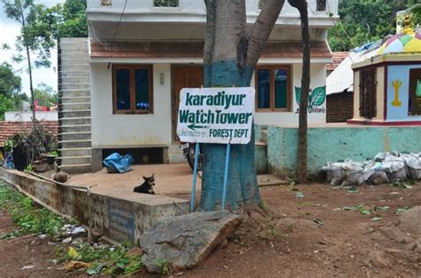 Karadiyur View Point (Yercaud) - 2020 What to Know Before You Go (with ...