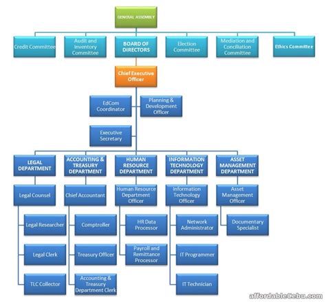 Co-operative Organizational Structure 的图像结果