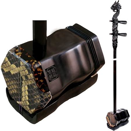 Image result for 2 Stringed Instrument