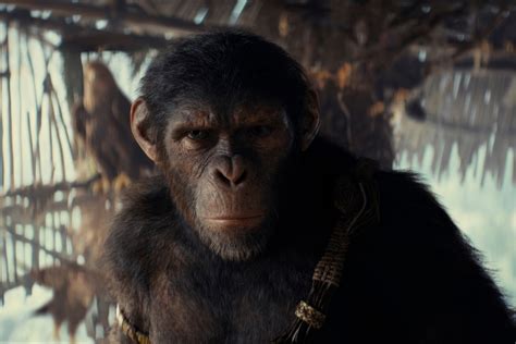 2160x1440 Resolution 2024 Kingdom of the Planet of the Apes Movie 2160x1440 Resolution Wallpaper ...