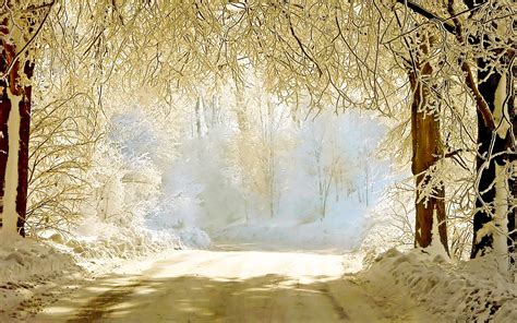 Winter Abstract Background Images