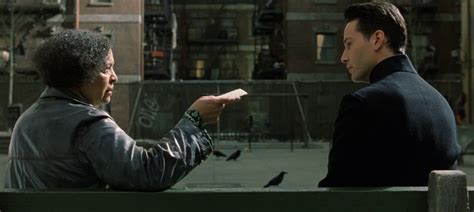 Matrix Program 的图像结果