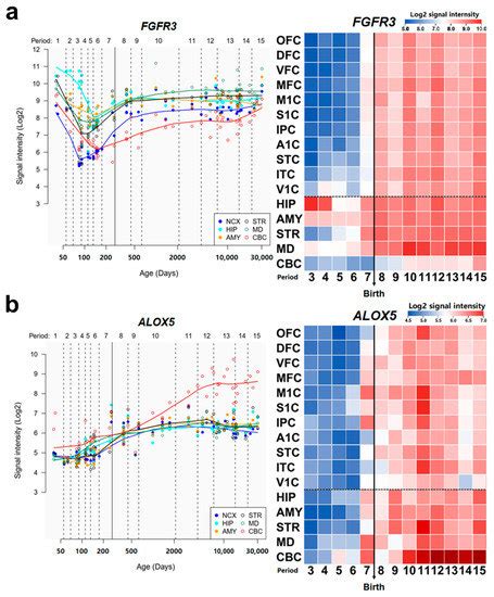 A Comprehensive Study of De Novo Mutations on the Protein-Protein ...