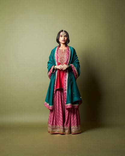 Lal Noorani printed sharara – Pants And Pajamas
