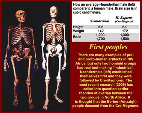 Image result for Skeleton Brain Exploding