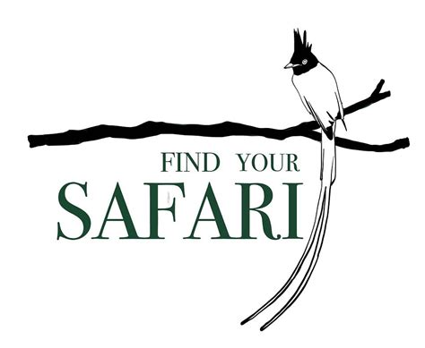 Graphics & Illustrations | Archeus