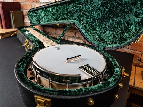 How Many Strings Does a Banjo Have? 4-String vs 5-String Explained