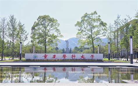 重庆医科大学2024年招生代码_邦博尔卫校网