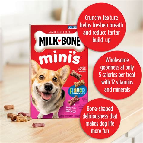 Buy Milk-Bone Flavor Snacks Mini Dog Biscuits, Flavored Crunchy Dog ...