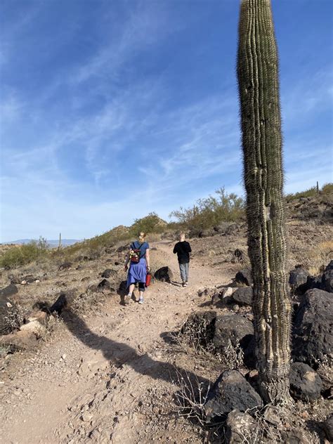 Best Hikes in Phoenix With Kids - Phoenix With Kids