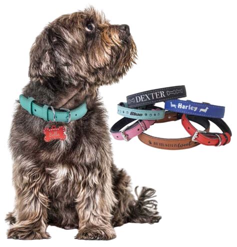 Personalized Pet Gifts | Custom Engraved Pet Supplies