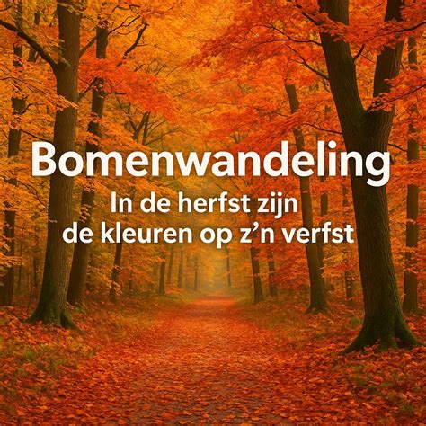 BOMENWANDELING - In de herfst zijn de kleuren op z’n verfst ...