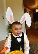 Image result for Found Baby Rabbit