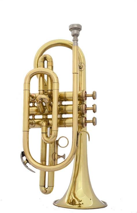 Image result for Cornet Musical Instrument