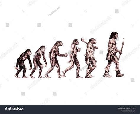 Evolution of Human 的图像结果