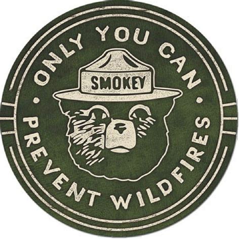 Amazon.com: Garage Art Signs Smokey The Bear Reproduction Laser Cut Out ...