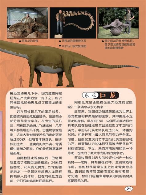 恐龙时代体型差异那么大的恐龙都是由同一种恐龙慢慢进化出来的吗？ - 知乎
