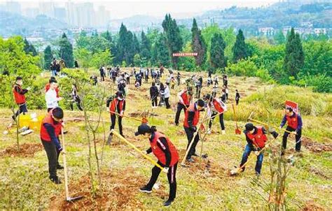 今年重庆已完成营造林332万亩 占年度计划52%